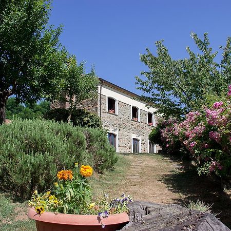La Rosa Nel Bicchiere Guest House Soveria Mannelli Luaran gambar