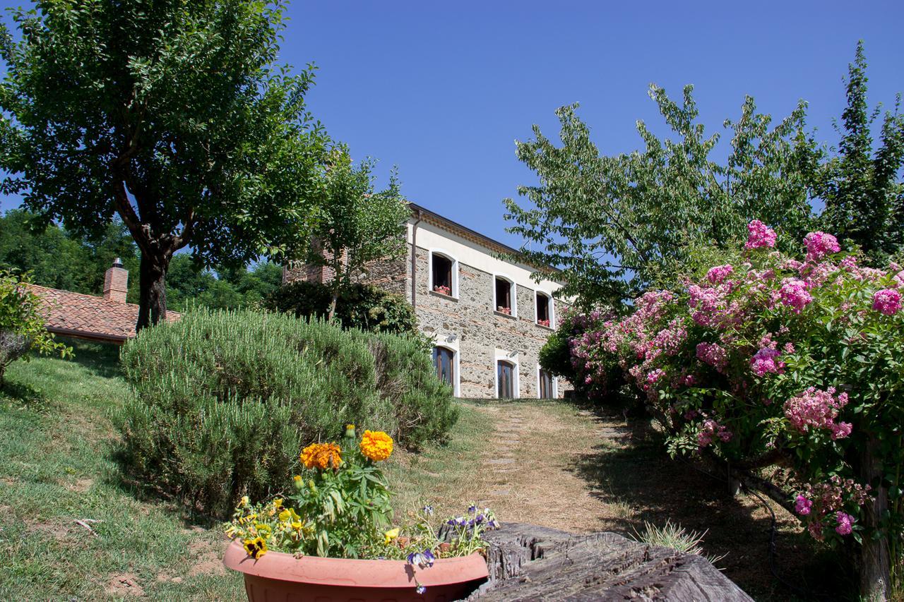 La Rosa Nel Bicchiere Guest House Soveria Mannelli Luaran gambar